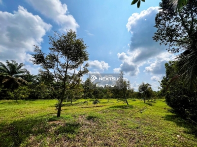 Simpang Renggam - Agriculture Land For Sale