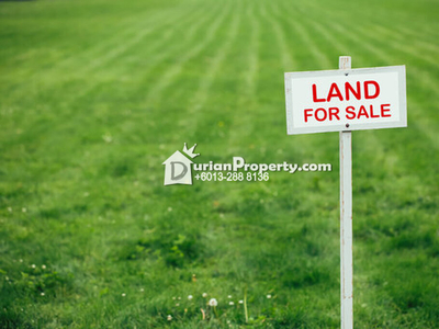 Agriculture Land For Sale at Simpang Pertang