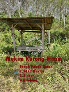 Tanah Getah Kpg Tengah Mukim Kurong Hitam, Padang Terap, Kedah