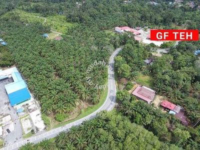 3.93 acres ✳️Roadside Land ✳️Batu Kurau ,PERAK | 6.44 p s f