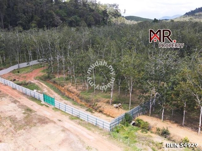 EASY ACCESS  Agriculture Land Bedong FOR SALE