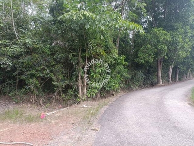 5.8 Ekar Tanah Pokok Getah Tua Kg Pogoh Segamat Johor