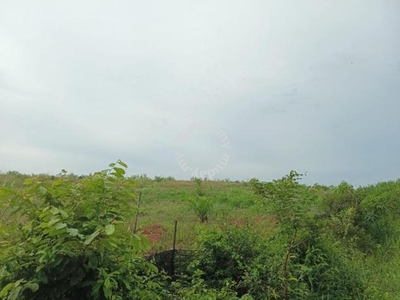8 Ekar Tanah Kelapa Sawit Kg Sengkang Legeh Jementah Segamat Johor