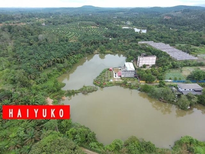 Beautiful Agriculture Land for SALE with LAKE @ Karangan Kedah