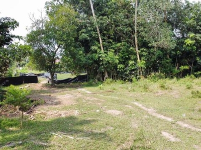 (Bebas Banjir, Rata) Tanah Pertanian 4.47 Ekar, Kg Ladang, Semabok