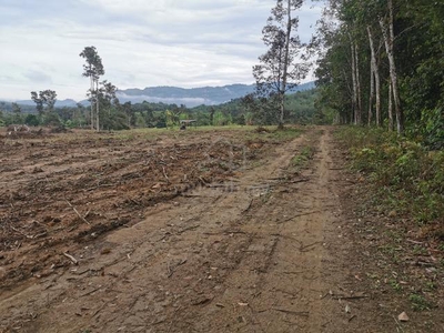 Broga Agricultural land 2 Acre n 3 Acre for SALES ,Ulu Beranang