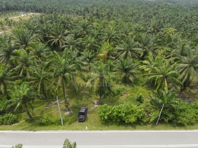 For Sale - Ipoh/Perak Sungai Siput 3 Acres Oil Palm Land Beside Road