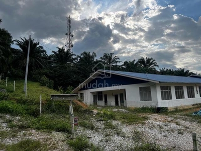 Freehold 3.3 Ekar Hostel / Dewan Atas Bukit Kg Timah -Tanjung Tualang