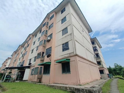 High Demand Apartment College Height,Pajam