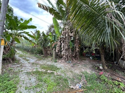 Tanah dusun dalam kawasan kampung di Lenggeng N. Sembilan