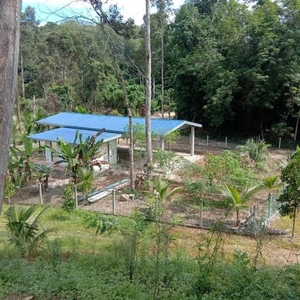 Tanah Dusun Di Petaseh Hulu, Kuala Klawang