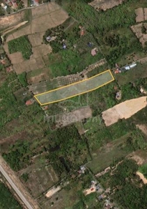 Tanah Kebun untuk dijual Kampung Bukit Chabang Titi Tinggi Perlis