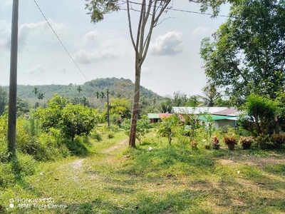 Tanah paya mak insun 4.5 Relong untuk buat Dusun,kebun Geran 1 nama