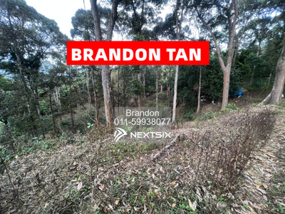Land Sale Near Balik Pulau Durian Plantation 8.18 Acres Near Main Road