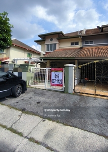 Anggerik Doritis Kota Kemuning Endlot