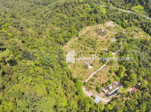 Agriculture Land For Auction at Kinta