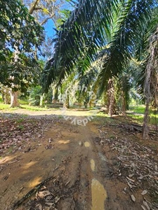 AGRICULTURE land FOR SALE MASAI, KONG KONG