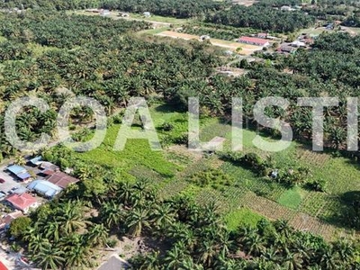 Near to Sedenak Exit Highway! Land for sale, Bukit Batu,Kulai