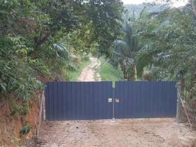 Low Price 21.3 acre Freehold Residential Land zone with 10 years old oil palm tree @Alor Gajah