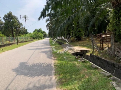 Main Road / 6.611 Acres / Oil Plam Agriculture Land @ Semeling Kedah