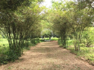Tanah Pertanian 3.1 Ekar di Port Dickson, Batu 20 - Ada Pokok Buah