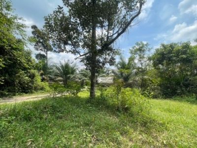 2.5 acres Agricultural Land @ Semenyih, Selangor