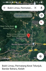 Kedah Bandar Baharu Durian Farm for Sale