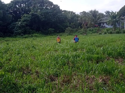Tanah Pertanian Jalan Pajam-Nilai-Salak, Labu Negeri Sembilan