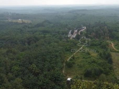 Tanah Pertanian Sri Kesang,Jasin Melaka.