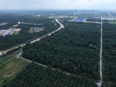 127.9 ACRE Tanah di Kuala Langat, Selangor