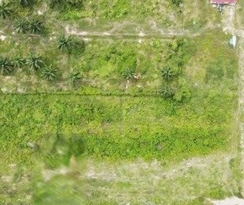 1.5 Acres Freehold Malay Reserved Land (Residential) in Pulau Indah For Sale
