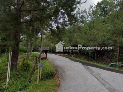 Residential Land For Sale at Bukit Tinggi
