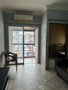 Fully Furnished and Well Maintained Apartment