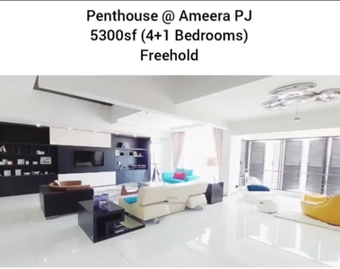 Ameera Residences Spaces Penthouse @ SS2 PJ