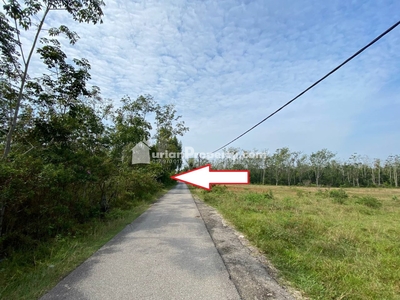 Agriculture Land For Sale at Machang