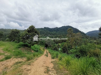 Agriculture Land For Sale at Raub
