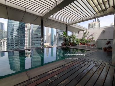 Penthouse with private pool