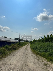 Pekan Nanas - Agriculture Land For Sale