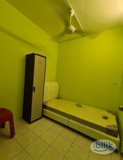 Single Room at Jelutong, Penang