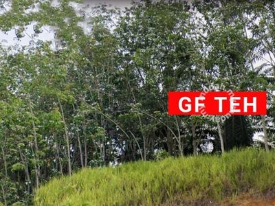 2.075 acres | Freehold |Rubber Plantation | Kuala Kangsar | Perak 3.17