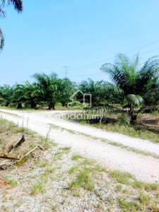 FREEHOLD Hilir Perak Langkap 321acre 2-16year Palm Oil Land SALE Solar