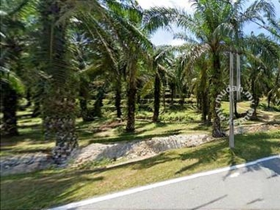 Perak Kuala Kangsar Sungai Siput 961 acres Palm Oil Agricultural Land
