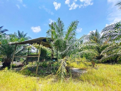 Ayer Tawar (Perak) 1.7 Acres Oil Palm Farm Land for sale