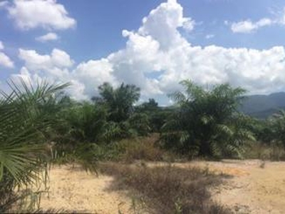 Kuala Kuang Agriculture land for sale in Chemor Perak