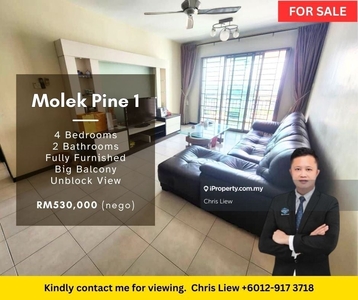 Molek Pine 1 @ Taman Molek Fully Furnished Well Maintained Big Balcony
