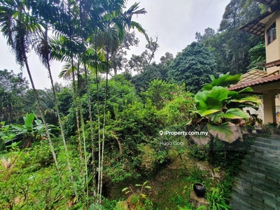 Private Exclusive Garden, Surrounded by Greenery, Easy Access Highway