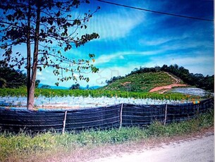 11.8 Acres, Agriculture, Freehold, , Pajam, Nilai, Mantin, N9