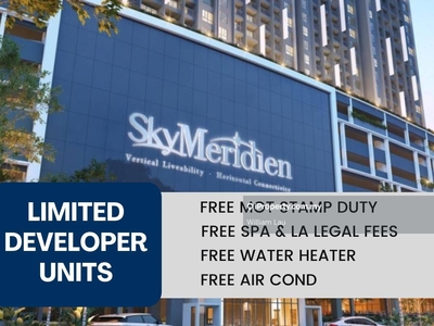 Skymeridien developer unit for sale