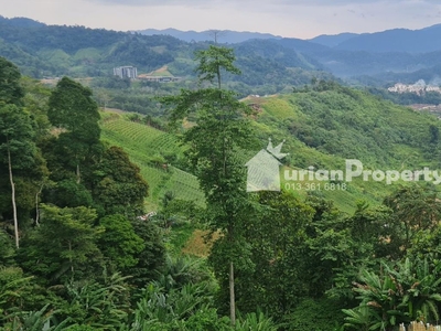 Agriculture Land For Sale at Bukit Tinggi