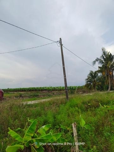 Tanah sawah padi /kebun sayur untuk di jual di Sekinchan